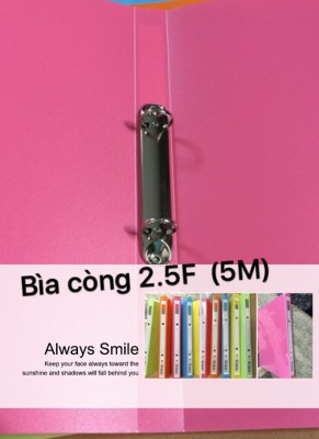 Bìa còng nhẫn 2.5cm nhựa A4 0