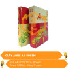 Giấy AONE A4 80gsm 0