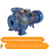 Máy bơm nước Ebara 3D/I 32-200/4.0 0