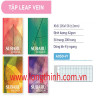 Tập 200 trang Subaru Leaf Vein 62gsm 0