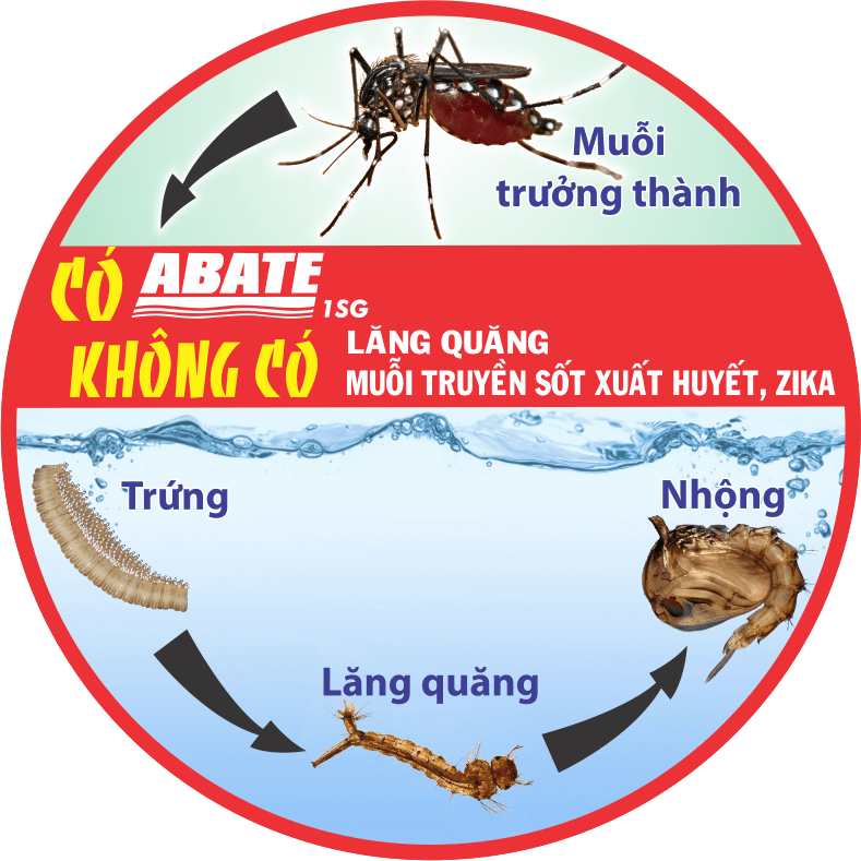 Thuốc diệt bọ gậy - lăng quăng 0
