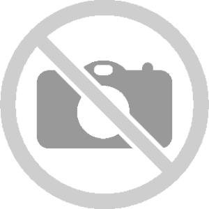 Bìa lá A4 Plus - 10 cái